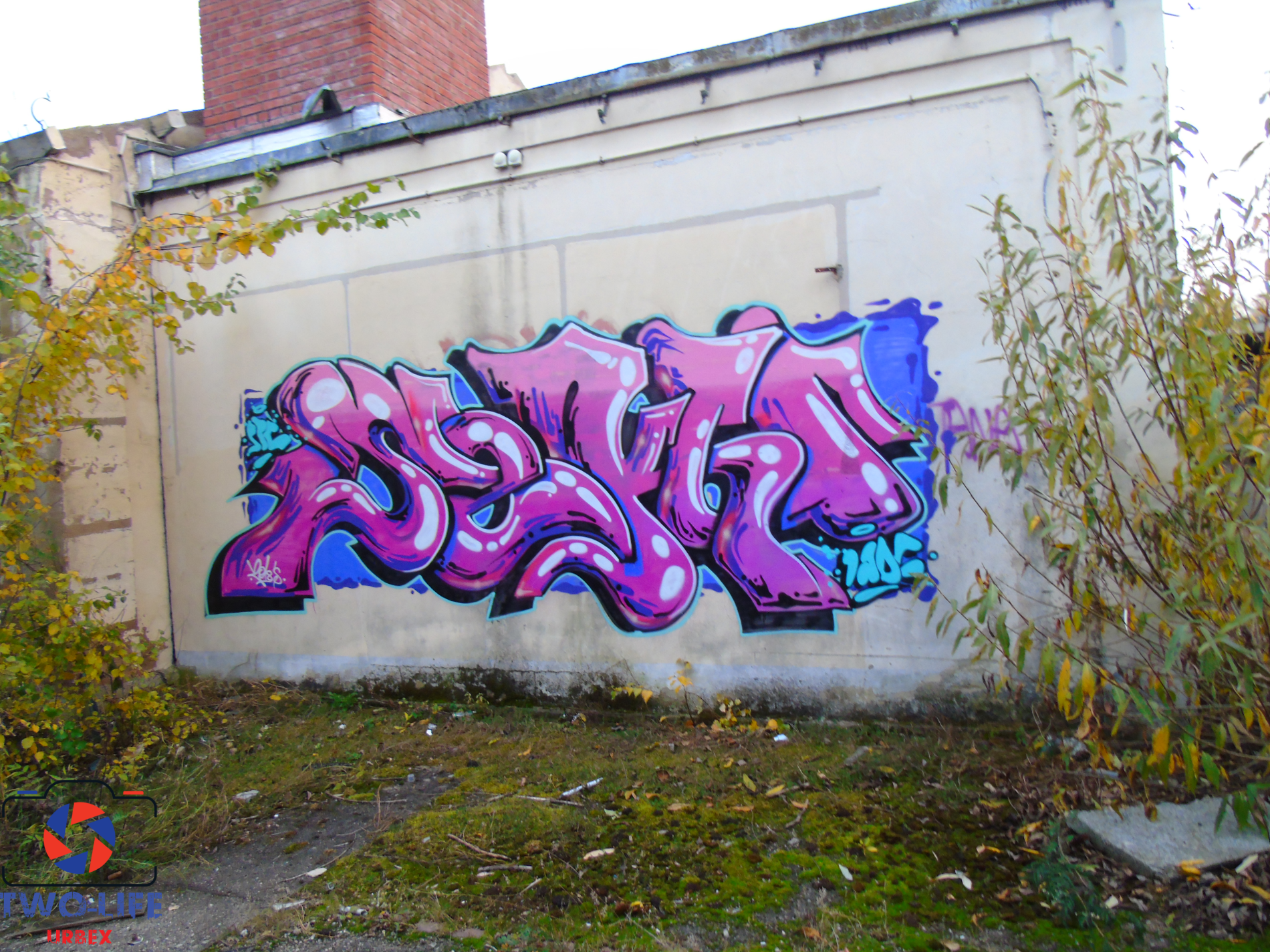 DSC05312