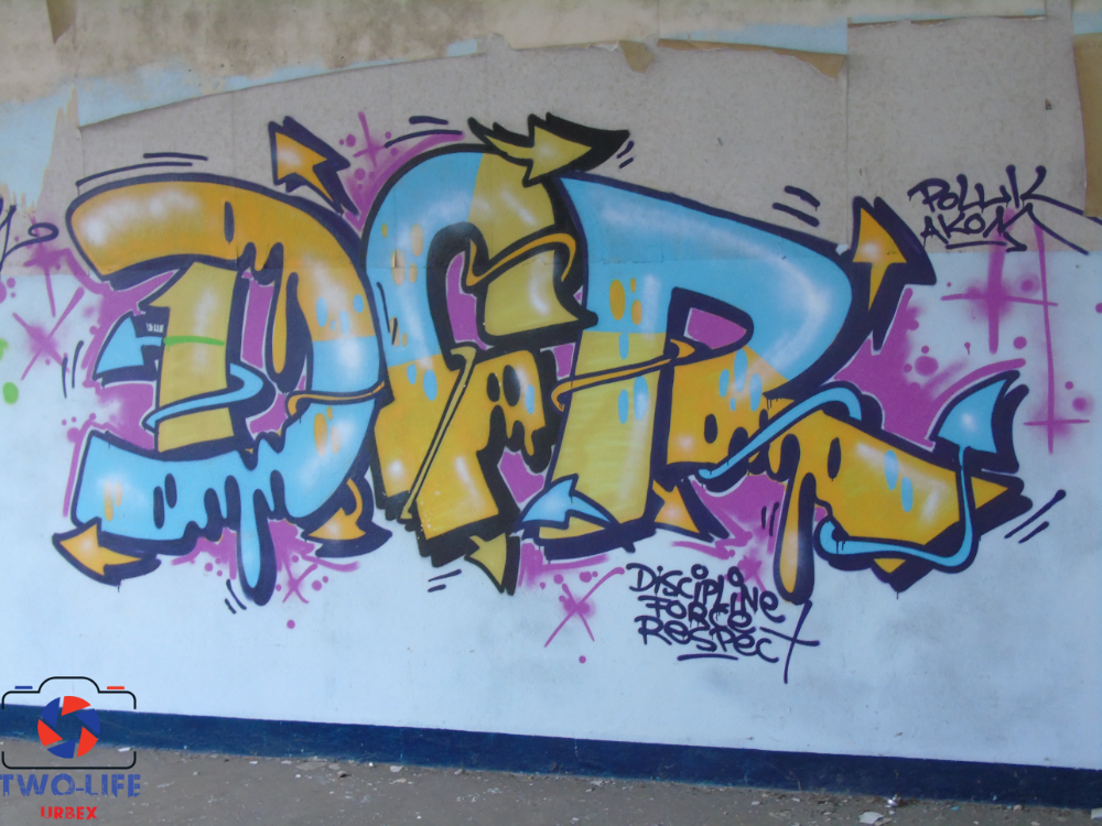 DSC05371