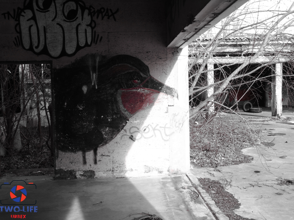 Gallery slide