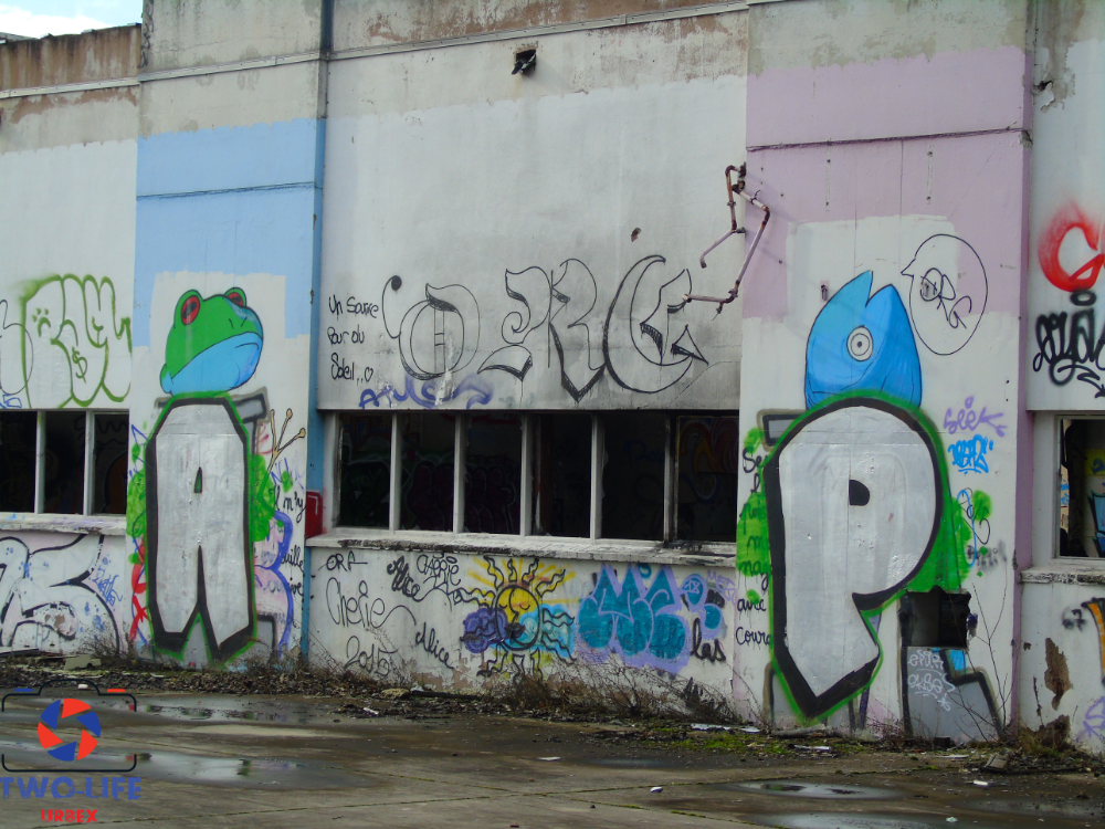 Gallery slide