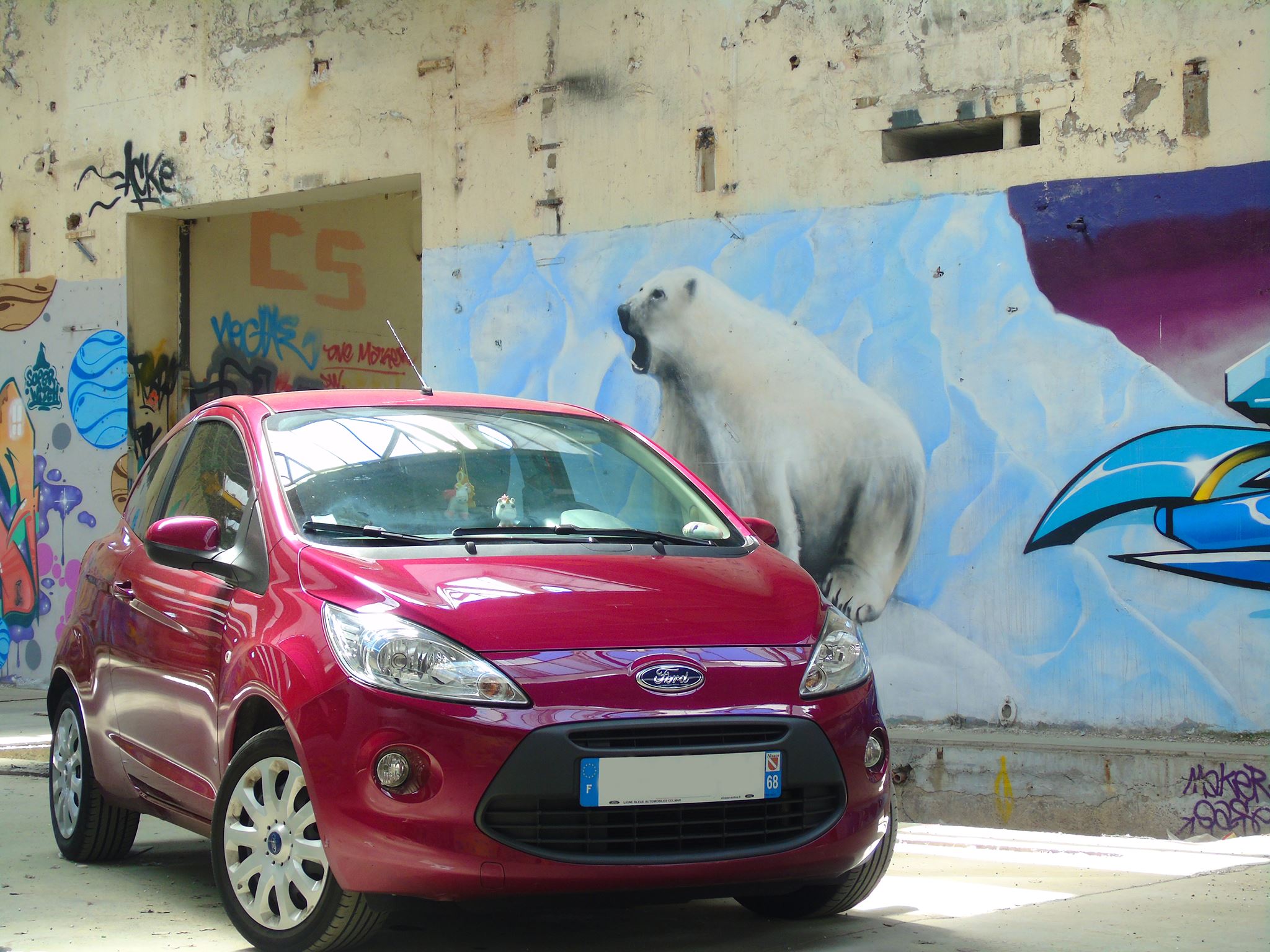 shooting Ford